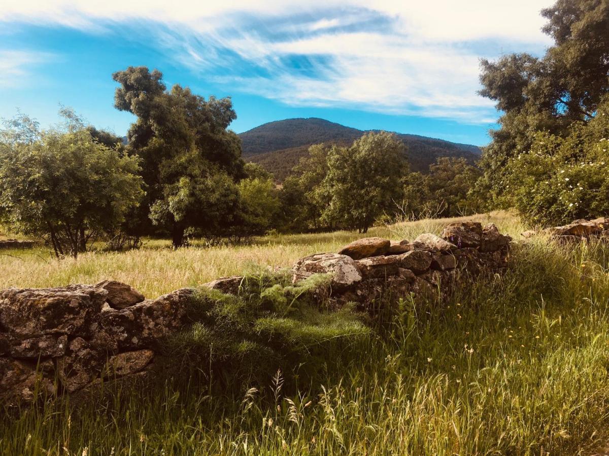 Acogedora Casa Con Patio En El Tiemblo Διαμέρισμα Εξωτερικό φωτογραφία